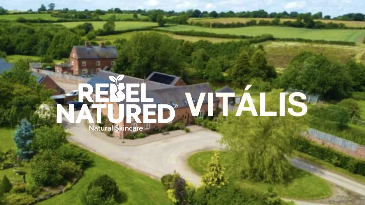 Rebel Natured x Vitalis Studios Retreat: Supporting an Incredible Weekend of Wellness